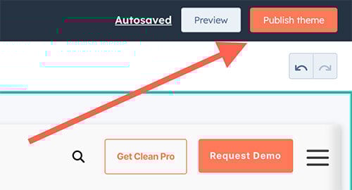 publish-theme-settings